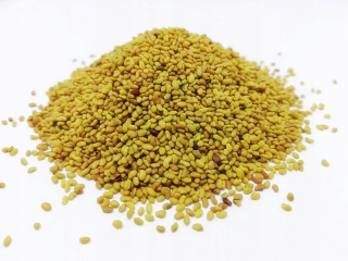 Lucerne nasadenie pre lúky, pasienky sa kvalifikujú 0,5 kg
