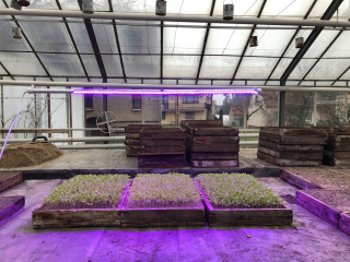 Lampa na pestovanie raslín - Grow LED 22W 120led IP65 PL lampa
