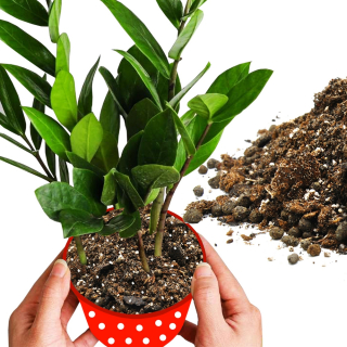 Záhradná pôda - Ľahká zemská zmes bigos zmes 15 l Vermicompost Clay Perlite