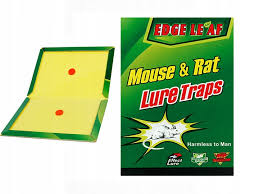 Leam Mistry Trap Missember Missember Pack 5 PCS