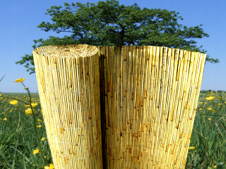 Pletivo, sieť - Rohož z trstinového krytu ploty 1,7 x 5,0 m