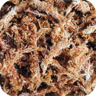 Záhradná pôda - Sphagnum 5l rašelinový rašelinový mach