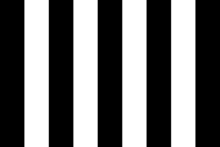 Športová hračka - Mega Zebra Mat, 2x1m Crossing Crossing!