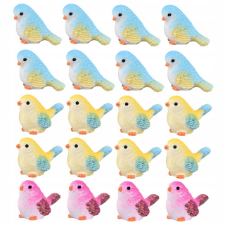 Sukulenty Mini Bird Sukulents dieťa 24 ks
