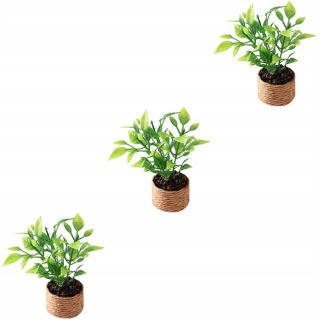 Dekorácia do záhrady - Mini oranžový strom bonsai 3 ks