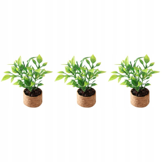 Dekorácia do záhrady - Mini Dollouse Orange Tree 3 PCS
