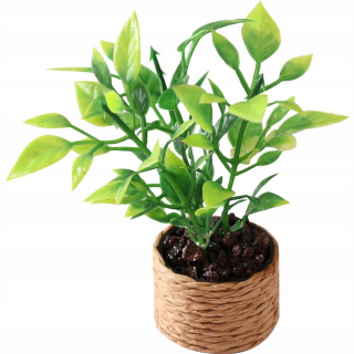 Dekorácia do záhrady - Mini pomarančový strom miniatúrny bonsai.