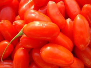 Najzdravšie ovocie sveta ~ goji červené bobule