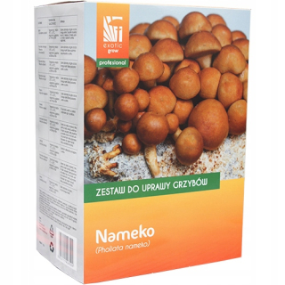 Huby na pestovanie - Súprava na kultiváciu húb Nameko