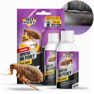 Repelent proti hmyzu - Moderný kŕmny vták pre zimu Jesse + potravinové zrno 1 kg + sprievodca