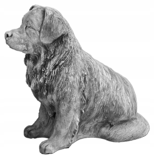Shepherd Podhale Dog Betón Obrázok S103957