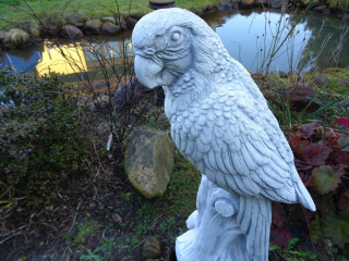 Parrot dekoratívny záhradný betón Obrázok -1229