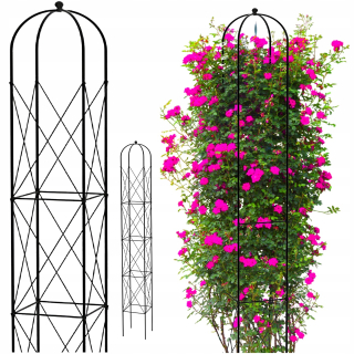 Pergola - KOVOVÁ PERGOLA Záhradné ruže STREDNE ČIERNA 151H