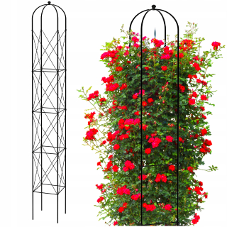 Pergola - 25 cm