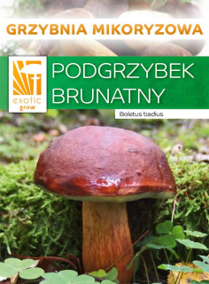 Huby na pestovanie - Huby huby lesné huby huby