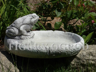 Vták FROG FROG S104085