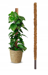 Oporná tyč pre rastliny - Podpora kokosového plodu pre rastliny 120 cm