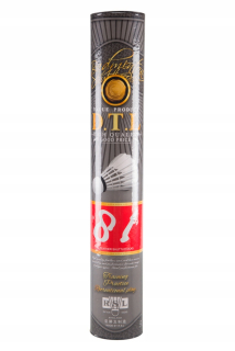 Badmington pre deti - Pentemparting DARTS pre badminton RSL DTL 81 (77)