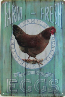 Tin plaket 20x30cm čerstvé kuracie vajcia