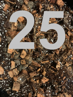 Záhradná pôda - Nastavte 3 kusy sneh lopaty snehové rameno pre deti farebná zima
