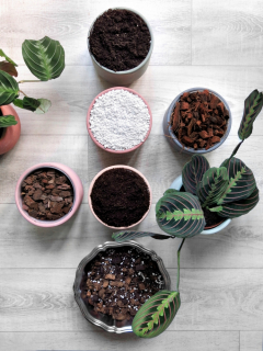 Záhradná pôda - Pozemná pôda dusený pre Marant Kalanta Cteanthe Alocasia Super Set 5l Set