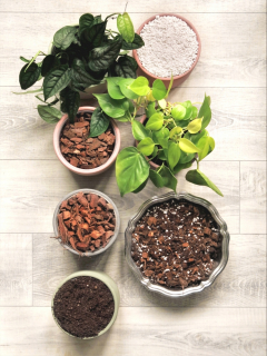 Záhradná pôda - Ground Ground Dusen pre monster Philodendron Sylgonów super set 5l set