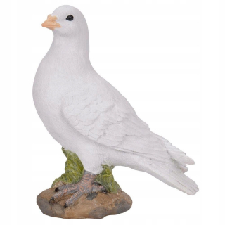 Pigeon vták pre záhradnú figurínu holubica