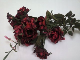 Ruže dĺžka 79 cm