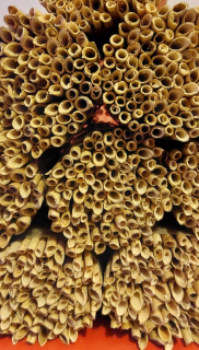 Včelia kráľovná - Skúmavky 18 cm v Bee Masonry Garden