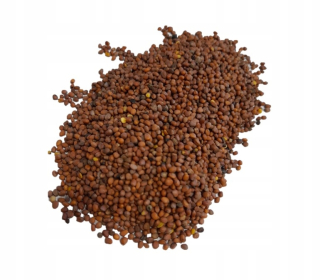 Olejistka Radish 15 kg