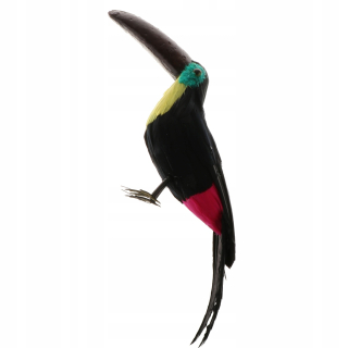 Realistická postava zvieraťa, simulácia Toucan