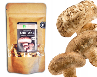 Huby na pestovanie - Shiitake L. Edodes - Huby na kolíkoch 50 ks