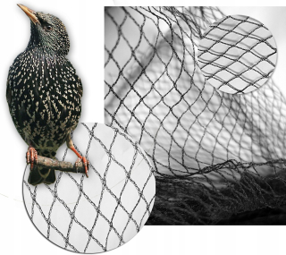Bird Meh na ochranu ovocných stromov 4x5m