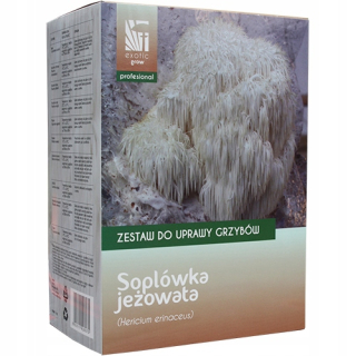 Huby na pestovanie - Soplówka, zapečatená, sada na kultiváciu húb