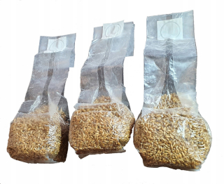 Sterilizované zrno na pestovanie húb substrátu 1,5 kg