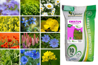 Kvety s kvetmi kvetina kvetina trávnička 10 kg trávnika