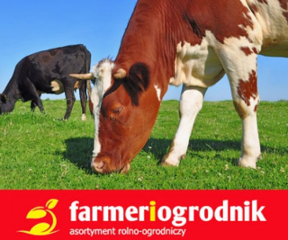 Pastvina tráva s bielym ďatelkou 25 kg
