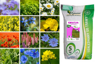 Tráva s kvetmi kvetina kvetina trávnička 5 kg