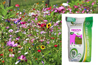 Trávna zmes KViatum 10 kg kvety kvetinových lúk