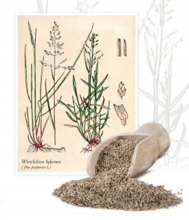 Gazon Meadow Panchlina Grass, na trávniku - 5 kg