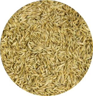 Gazonna Grass Grass, na trávnikoch - 25 kg