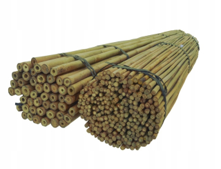 Oporná tyč pre rastliny - Bamboo Pole120 cm 10/12 mm /50 ks, podpora
