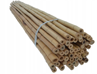 Oporná tyč pre rastliny - Bambusové stĺpy 240 cm 28/35 mm/10 ks/dekor