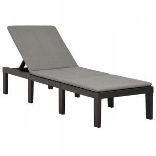 Záhradné lehátko - Vidaxl Deckchair s vankúšom, plastom, antracitou