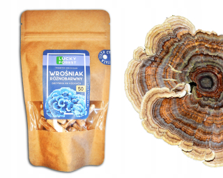 Huby na pestovanie - Populárny - vyrezávaný okraj - Mycelium na kolíkoch 50 ks.