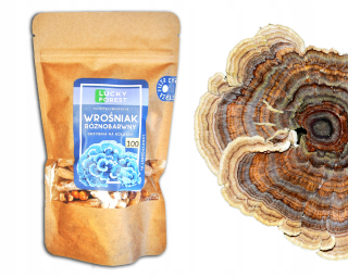 Huby na pestovanie - Intex v blízkosti nafukovacích detí na kreslo plávania