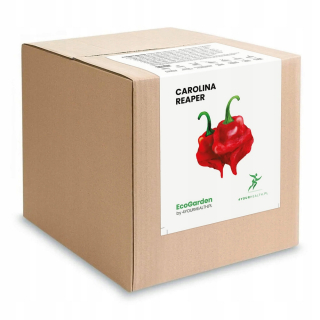 Semená korenia korenia Carolina Reaper