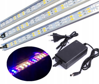 Lampa na pestovanie raslín - NEO svetlomet SMD 100W 8000 LM 230V