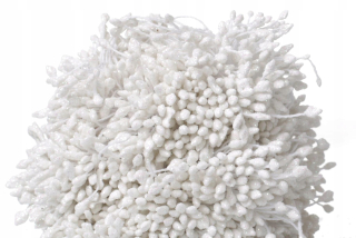Glute Vwirls for Reed 1700 White W23a