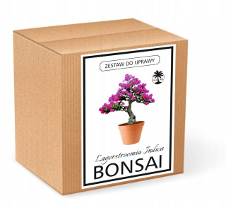 Bonsai Lagerstroemia Indica Cultivation Set
